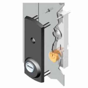 PROTETTORE BASCULANTI E67 mm 39x139     DN22 DISEC